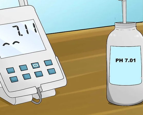 Đặt điện cực của máy đo ph vào trong bộ đệm pH 7